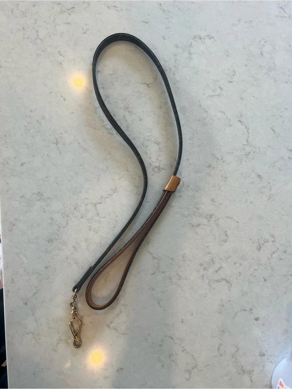 Louis Vuitton Monogram Leather Dog Leash in Brown and Tan